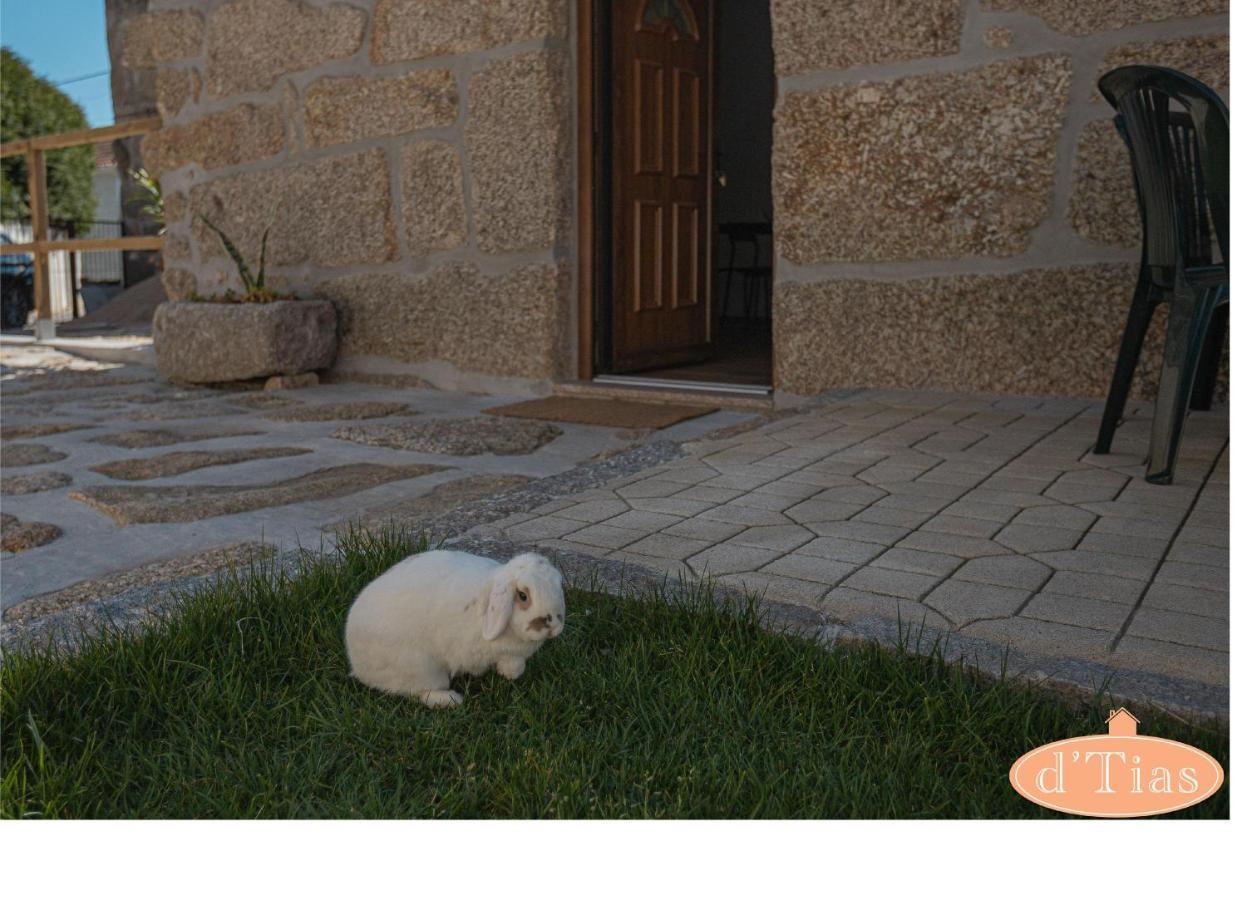 Casa Das Tias Villa Baltar ภายนอก รูปภาพ